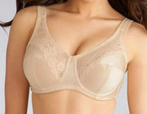 Style 7103 | Banded Full Figure Soft Cup Bra with Lace
